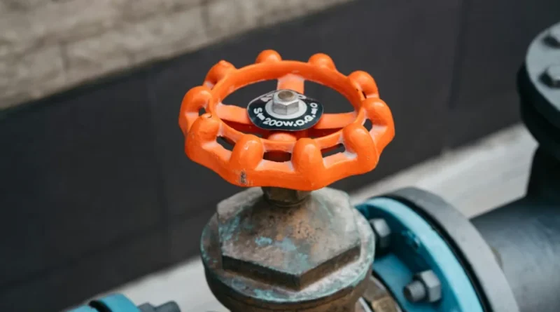 What Makes the Globe Control Valve Essential for Modern Industries