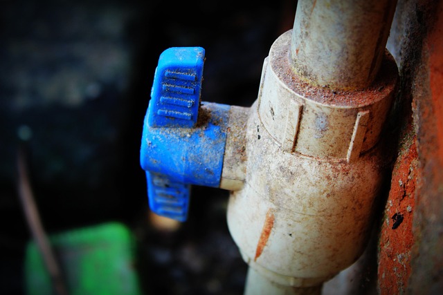 compression fitting valve