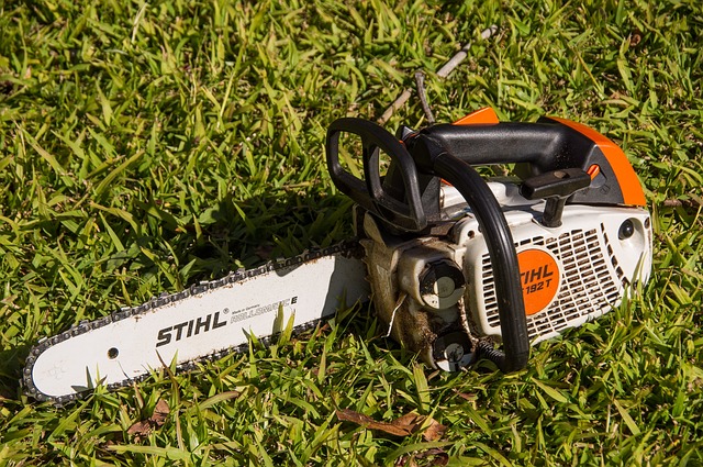 stihl pole saws