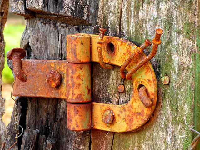 blumotion soft close hinges