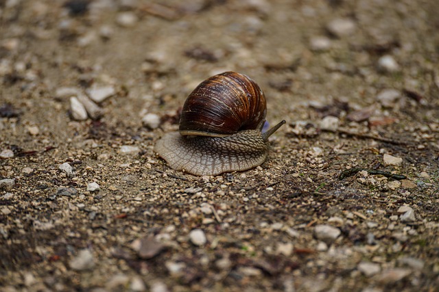 slow close hinges
