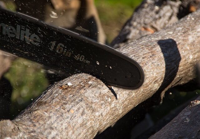 electric pruning saw