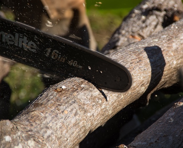Can an Electric Pruning Saw Redefine Precision in Professional Gardening