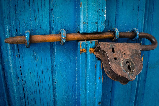 automotive door latches