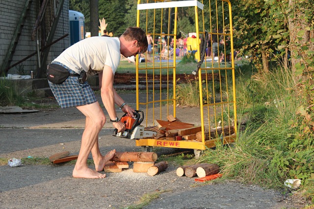 saws for cutting wood