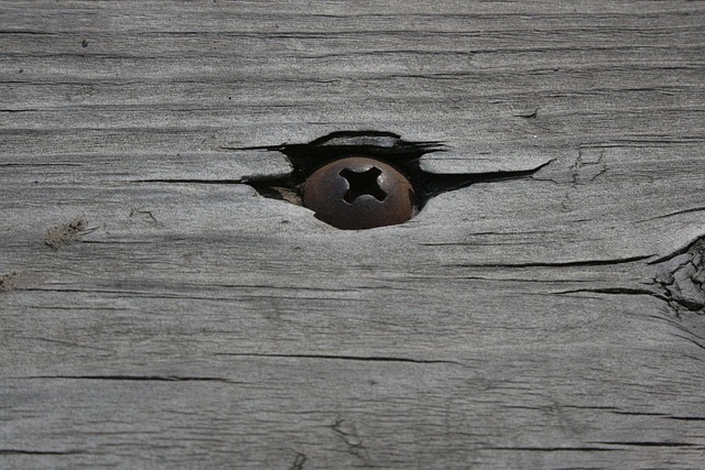 woodworking screws