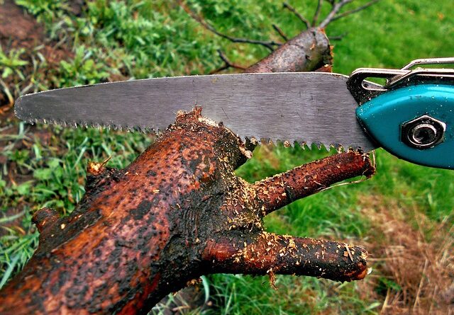 pull saw