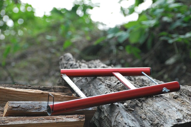 saw for wood