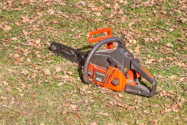 electric pruning saw