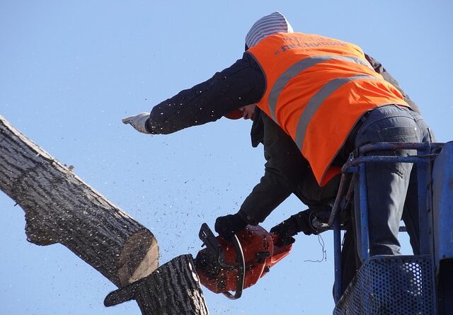 flush cut saw