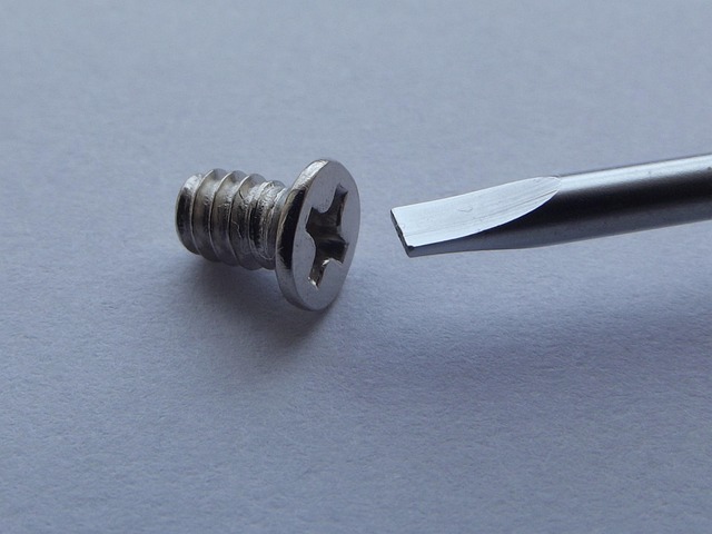 anchoring screws