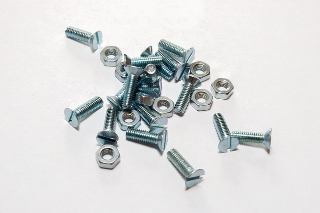 self screwing screw