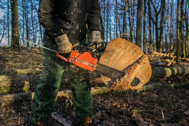 hand held chain saw