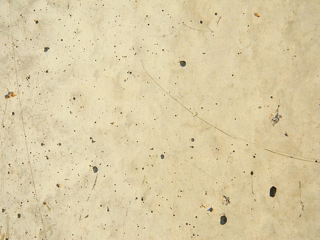 concrete blade for grinder