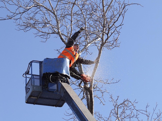 flush cut saw