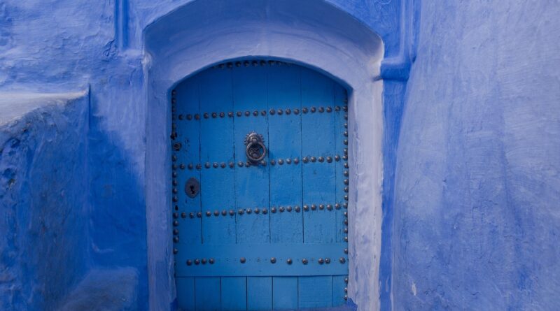 door, portal, gate, entrance, architecture, blue, wall, access, old, wood, stone, historical, door handle, door lock, house entrance, facade, ornament, front door, ring, door knocker, door fitting, fitting, entrance door, door, door, door, door, door, gate