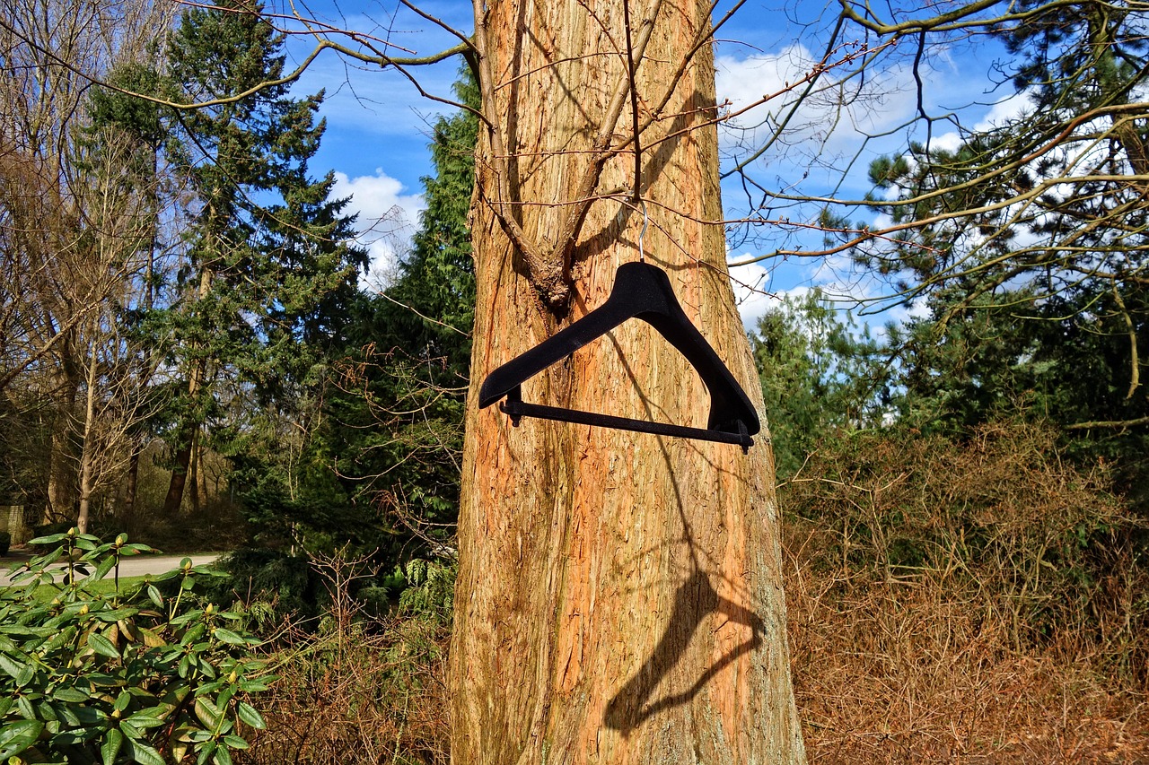 clothes hanger, hanger, padded clothes hanger, fashion, clothing, tree, nature, trunk, branch, clothes hanger on a branch