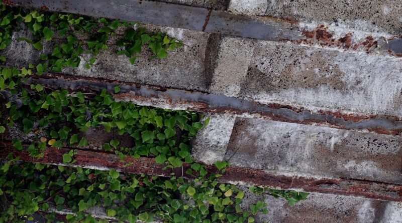 climbing ivy, rust, rusted, iron, stole, rusty red, nature, metallic, old rusted, concrete, bridge under the leadership of, underpass, metal, pedestrian underpass, tunnel, vault, old, ivy, climber plant, mainfranken, common ivy, neustadt am main, bright, hedera helix, green, leaves, tendrils, ivy leaf, ivy tendrils, main spessart, ivy corner, plant