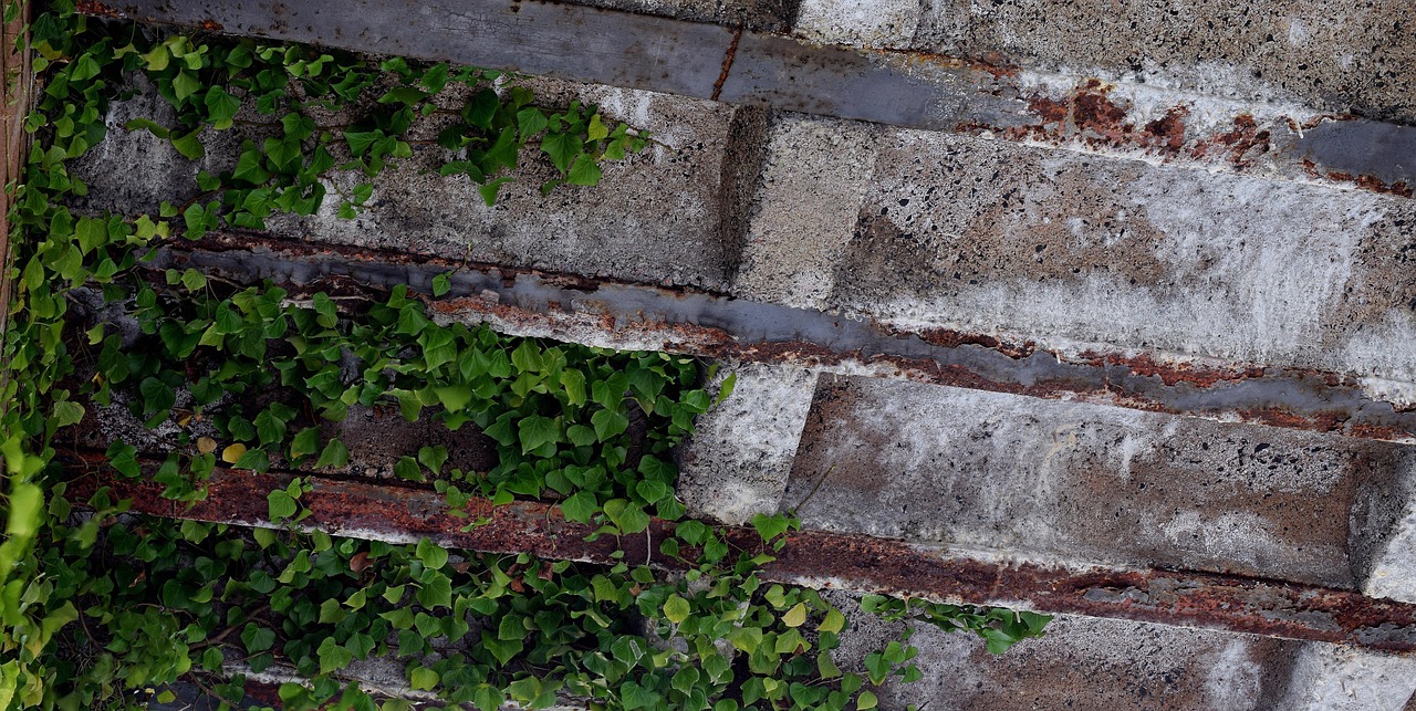 climbing ivy, rust, rusted, iron, stole, rusty red, nature, metallic, old rusted, concrete, bridge under the leadership of, underpass, metal, pedestrian underpass, tunnel, vault, old, ivy, climber plant, mainfranken, common ivy, neustadt am main, bright, hedera helix, green, leaves, tendrils, ivy leaf, ivy tendrils, main spessart, ivy corner, plant