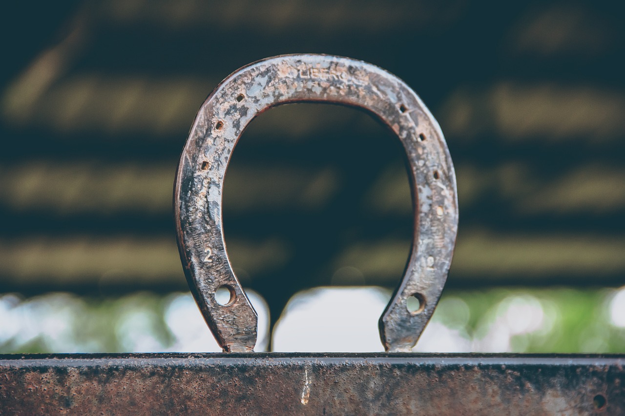 horseshoe, hoof, nature, magnet, metal, blacksmith, horses, animal, lucky, iron, shoe, farm, foot, symbol, farrier, equine, cowboy, wild, west, outdoor, sport