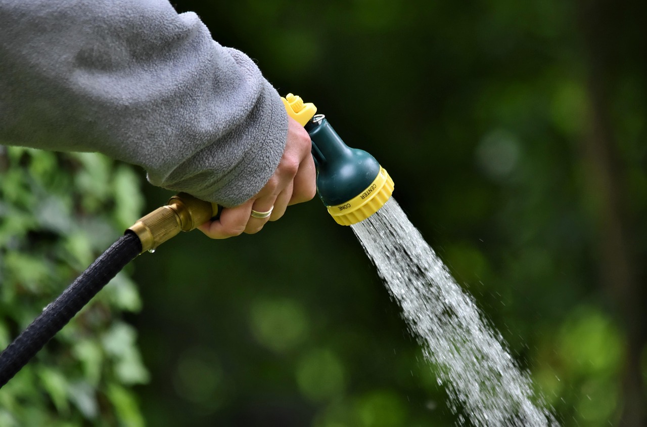 water jet, shower, to water, water, garden, hand, nature, hose