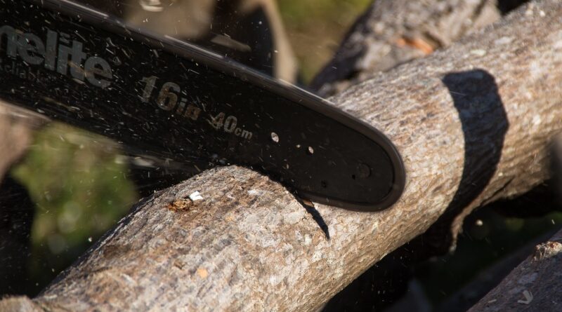 chainsaw, nature, saw, tool, power, cutting, tree, branch, pruning, lopping