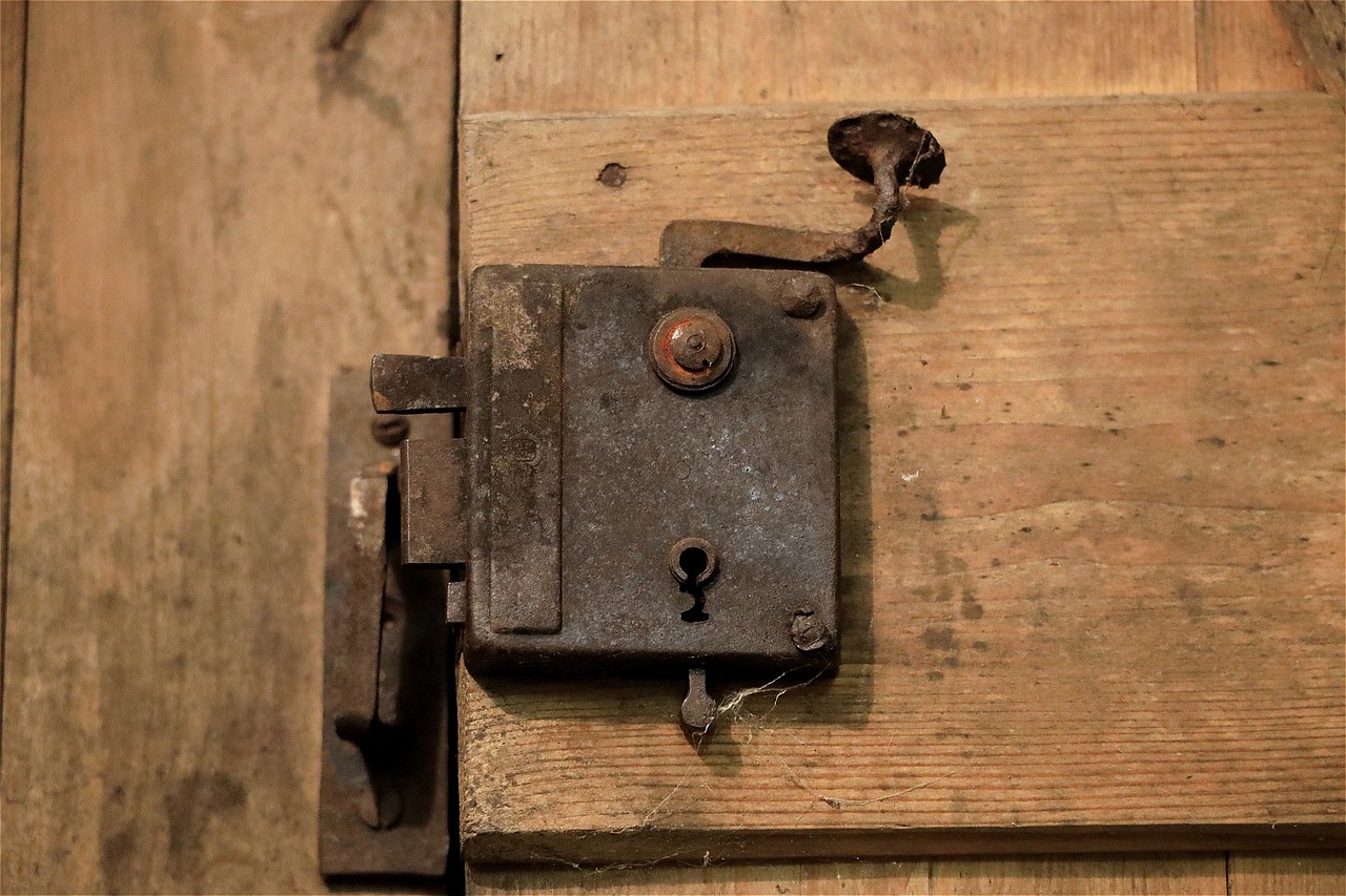 door lock, old, metal, door handle, door fitting, castle, key hole, to graduate, wooden door, lock, fitting, mouse box lock, door lock, door lock, door handle, door handle, door handle, door handle, key hole, key hole, key hole, key hole, key hole, lock