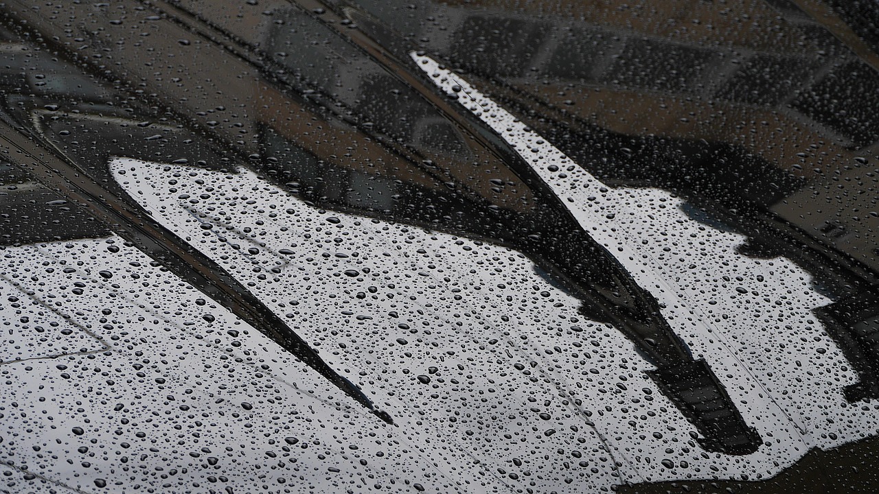 non, raindrop, water, wet, nature, window, raindrops, bell, trickle, weather, flowing, korea, this type