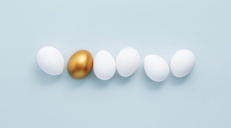 egg, metaphor, winner, exclusivity, elect, contrast, leadership, innovation, conceptual, abstract, choice, profit, jewelry, lucky, precious, priceless, special, different, difference, inspiration, successful, investment, fortune, metal, rich, leadership, leadership, leadership, leadership, leadership, priceless, priceless, different, investment