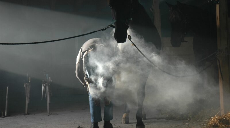horse, blacksmith, blacksmith tools, nature, horse riding, iron