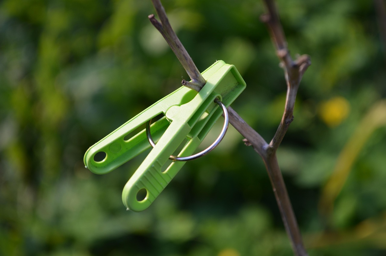 clothespin, fastener, pin, branch