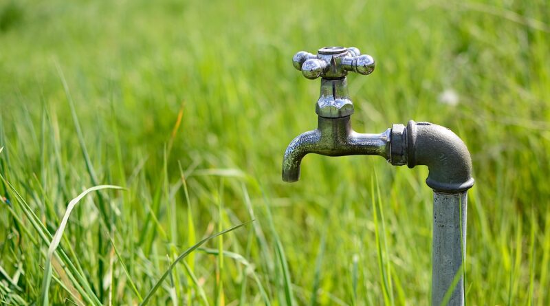 tap, water, meadow, drought, nature, the greenhouse effect, closeup, irrigation, plumber, fittings