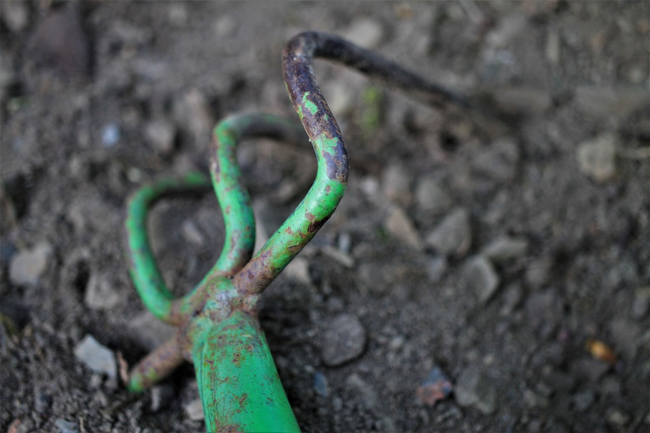 rake, tool, nature, garden tool, old, rusted, green, equipment, working device, garden, floor, hand tool, garden tools, gardening equipment, agriculture, tools