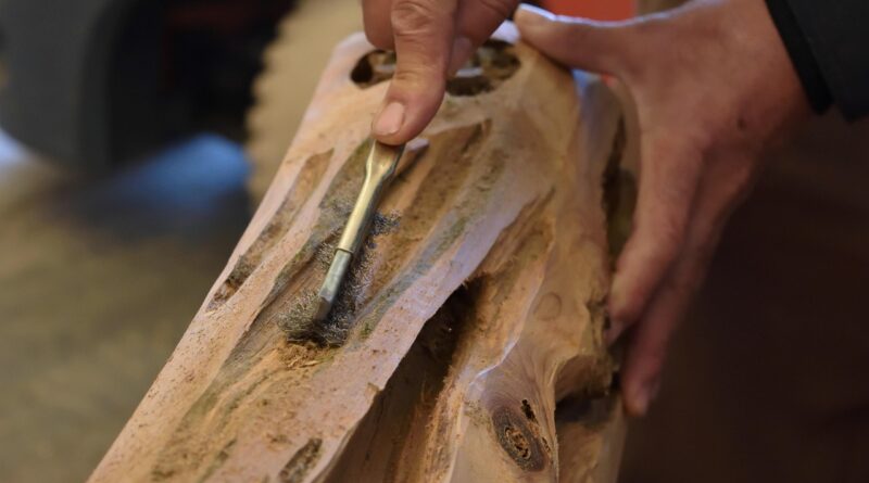carving, wood carving, craftsman, woodwork, equipment, craft, wood, hands, lumber, timber, wooden, worker, carpenter, builder, tool, professional, wood carving, wood carving, wood carving, craftsman, woodwork, woodwork, woodwork, woodwork, woodwork, lumber, carpenter, carpenter, carpenter, carpenter, carpenter