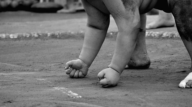 sumo, wrestling, sport, power, obesity, japan