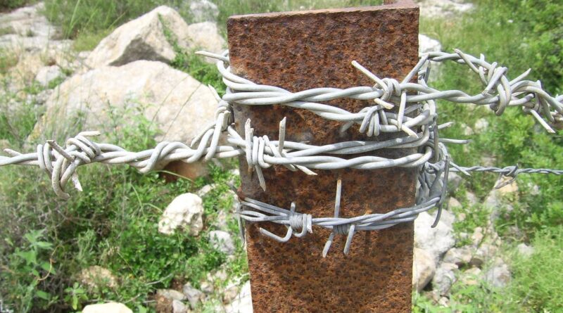 barbed, wire, galvanized, pole, rusty, metal, iron, security, protection, fence, barb, border, boundary, spike, twisted, barricade, green security, green border, green metal